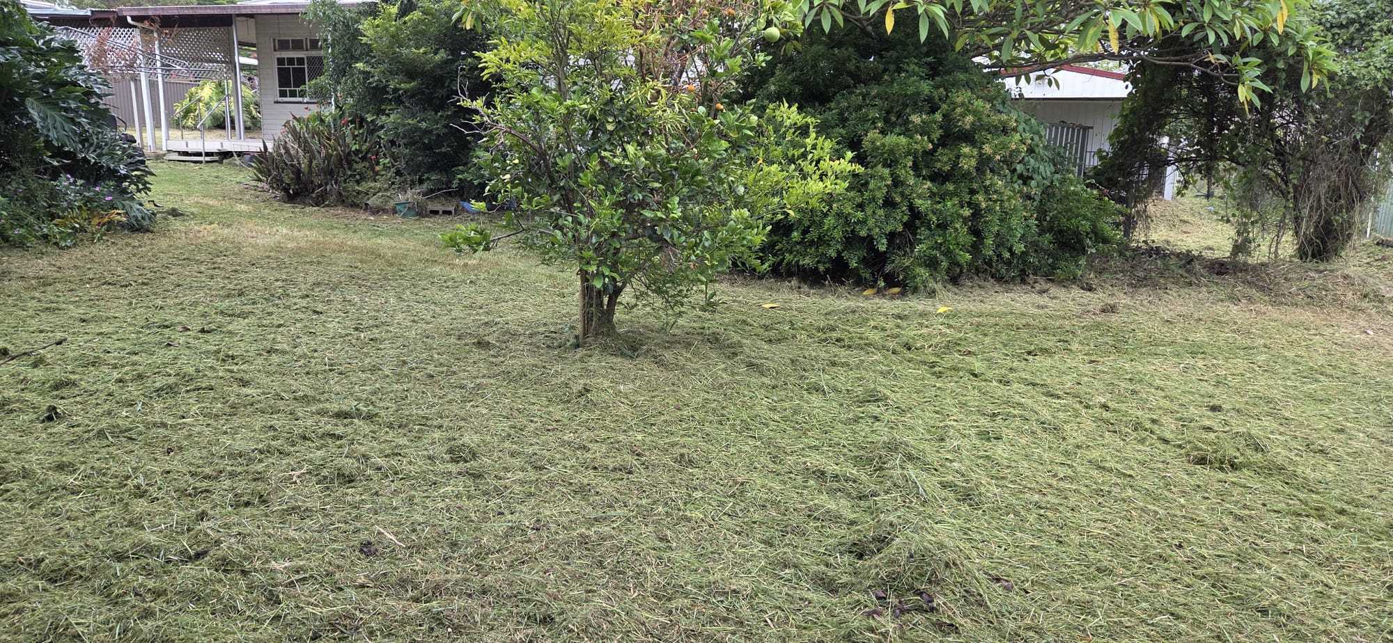 After Lawn Mowing Services Brisbane